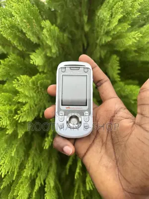 Sony Ericsson W550 Silver