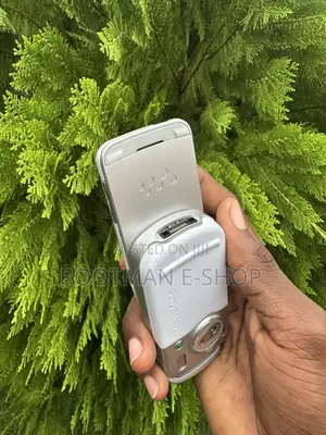Sony Ericsson W550 Silver