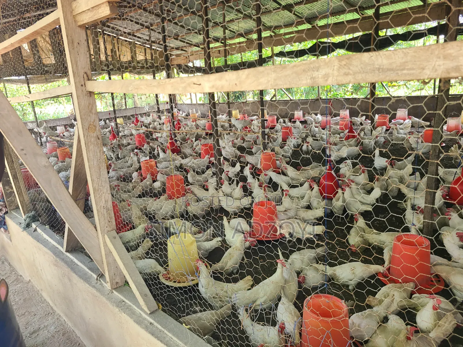 9 Plot Of Land And Poultry Farm For Sale