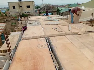 Professional Capenter For Construction Site Jobs
