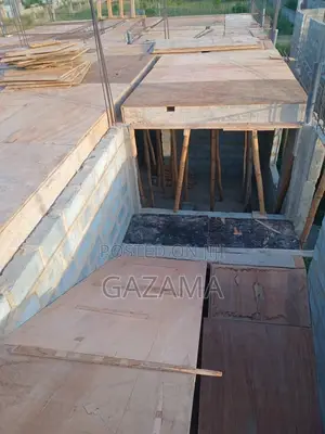 Professional Capenter For Construction Site Jobs