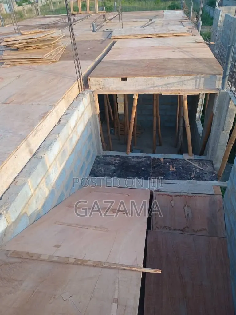 Professional Capenter For Construction Site Jobs