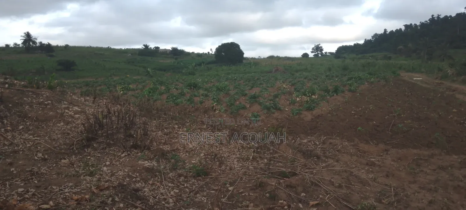 Land for Sale