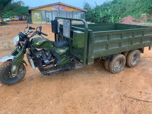 New Tricycle 2025 Green