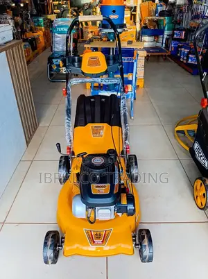 Ingco Self Propelled Gasoline Lawn Mower