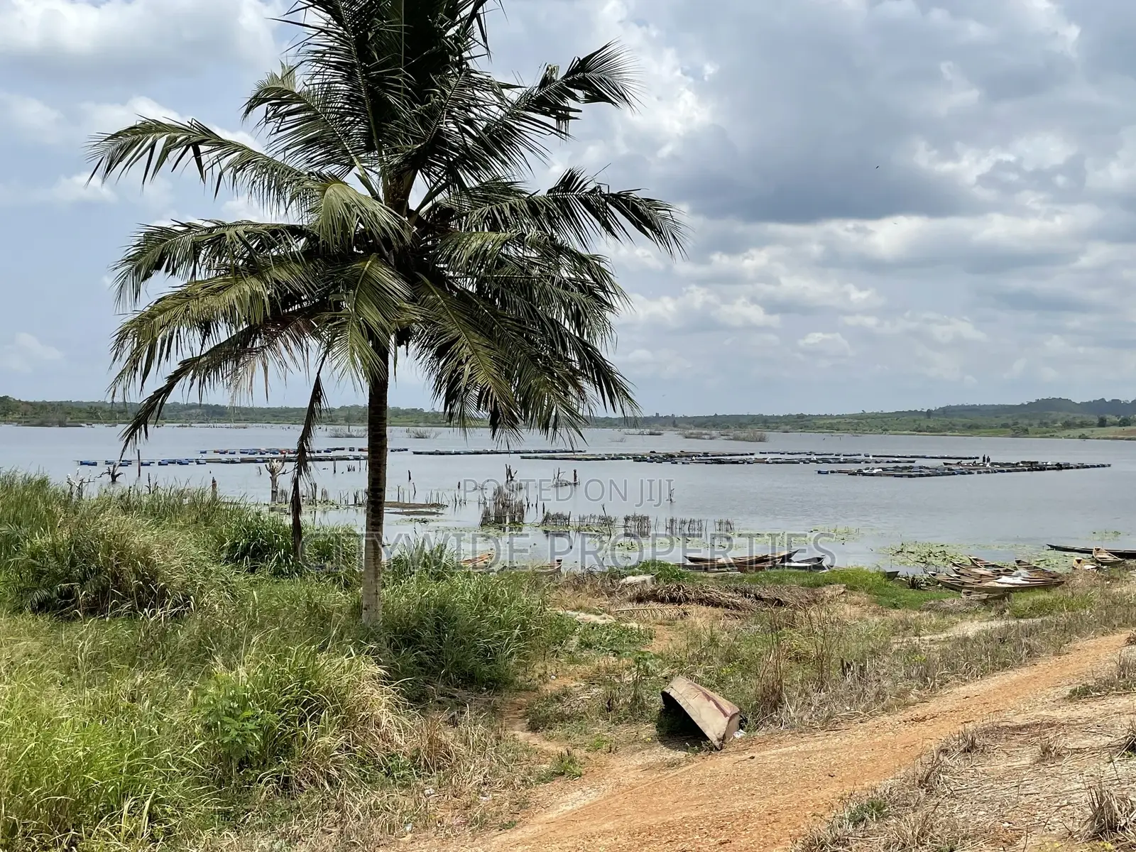 Farmlands For Sale At Winneba Simibrofo