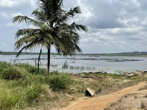 Farmlands at Winneba Simibrofo for Sale