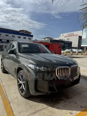 BMW X5 2024 Gray