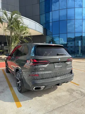 BMW X5 2024 Gray