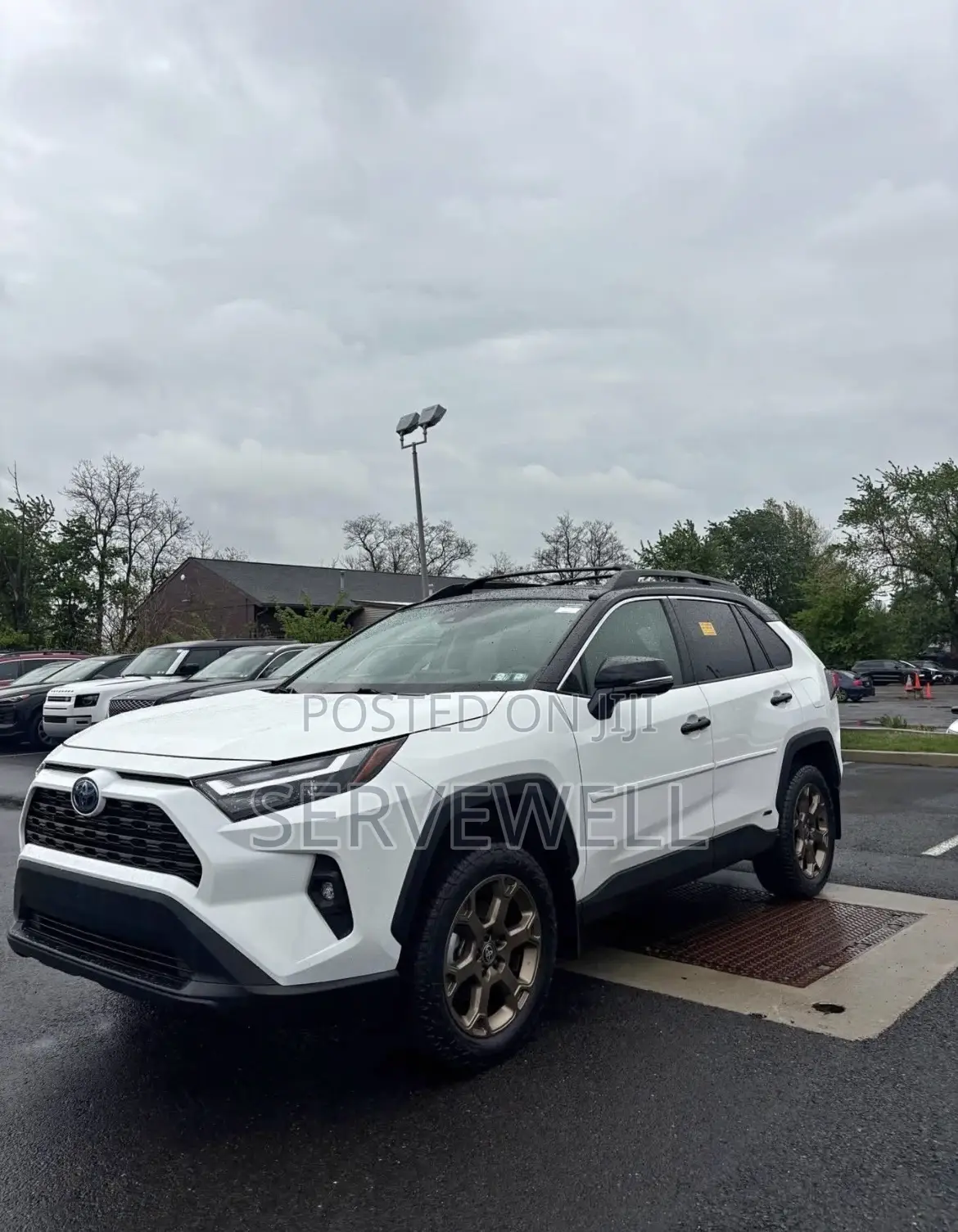 Toyota RAV4 2024 White