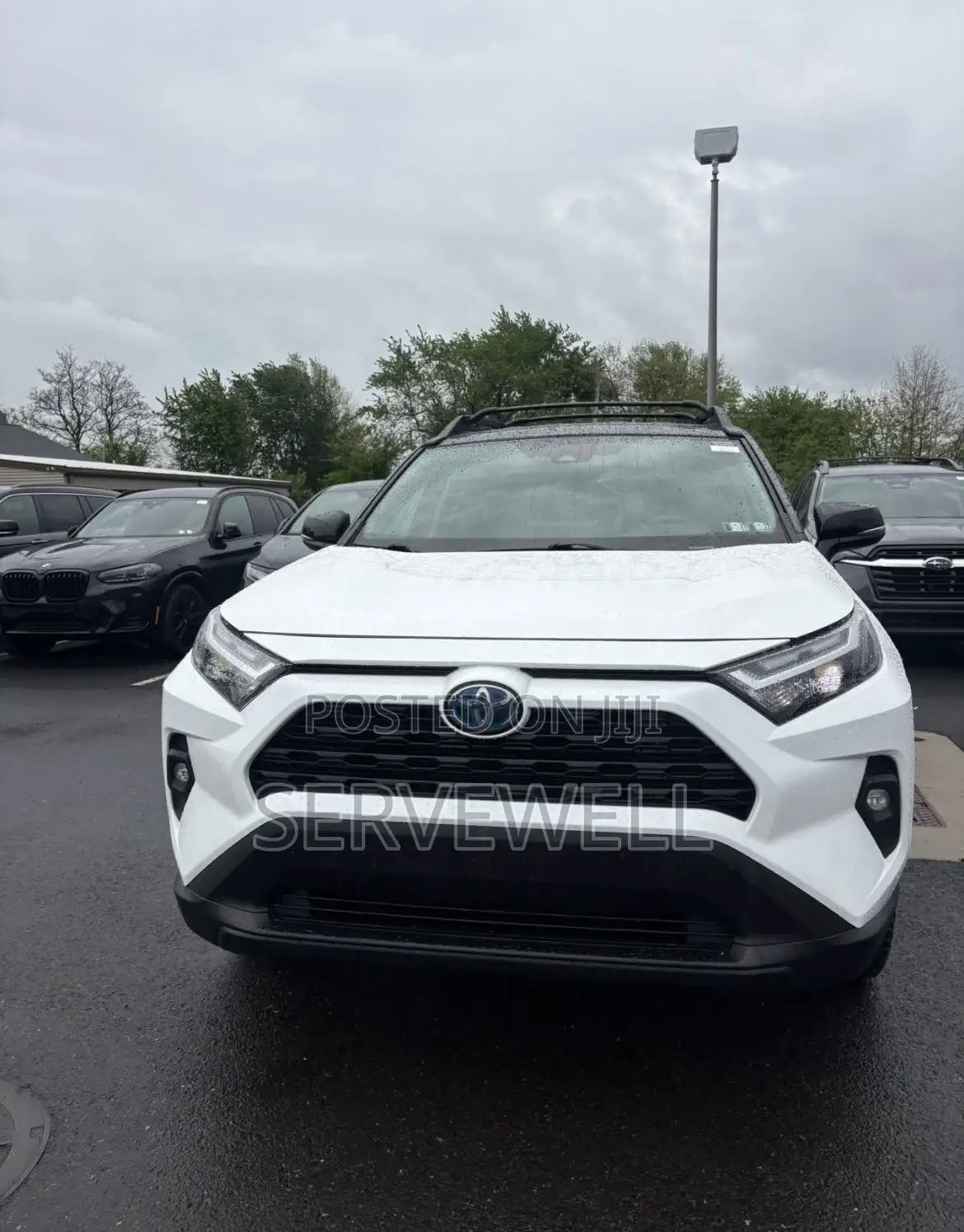Toyota RAV4 2024 White