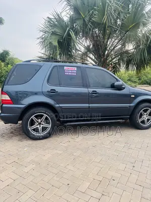 Mercedes-Benz M Class 1999 Matt Black