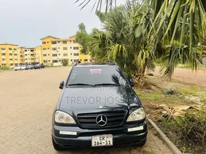 Mercedes-Benz M Class 1999 Matt Black