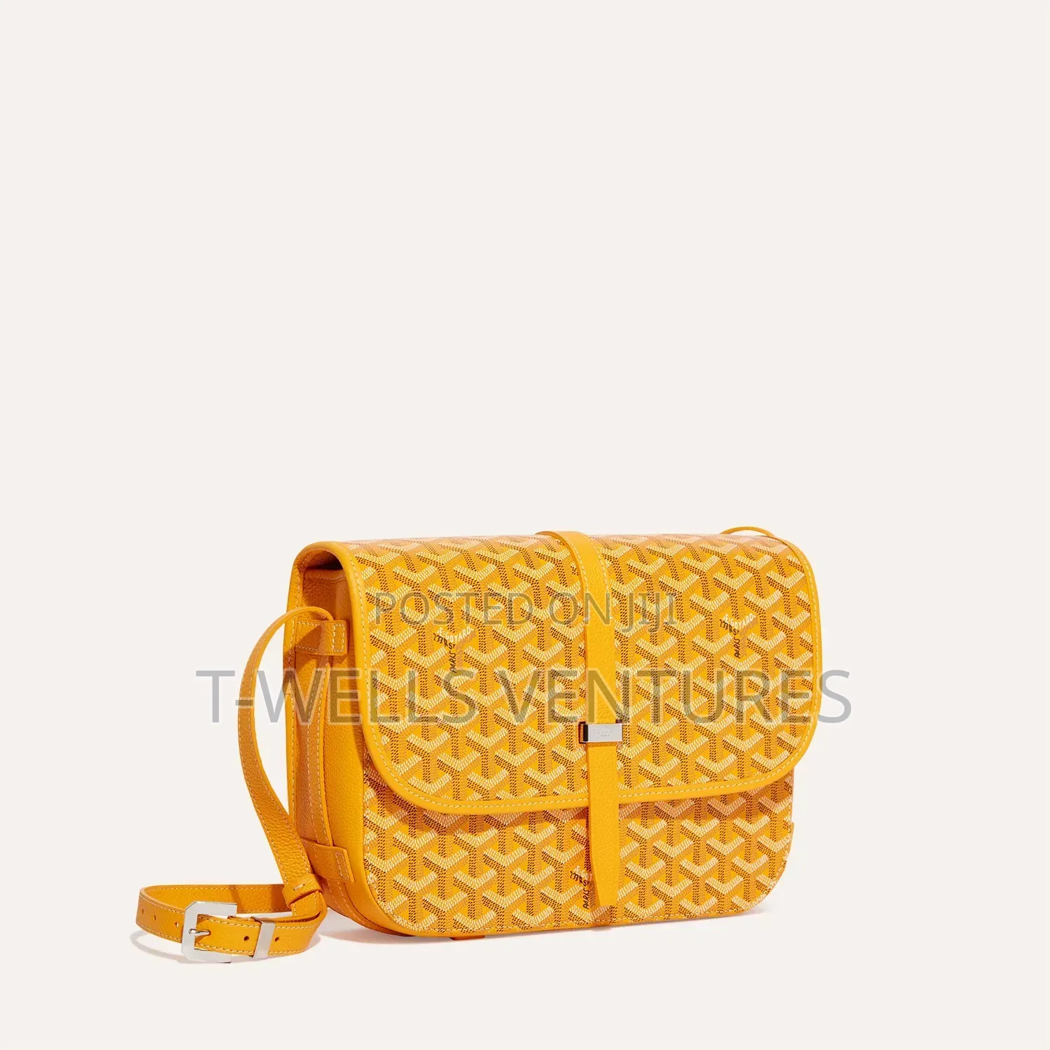 Maison Goyard Belvedere Mm Bag