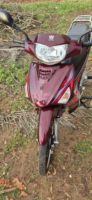 Haojue HJ110-2C 2025 Brown