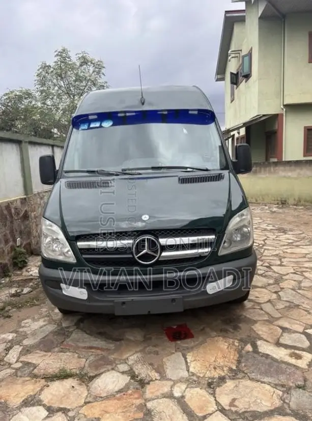 Mercedes-Benz Sprinter 2010 Green
