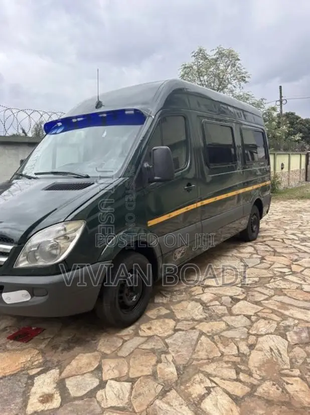 Mercedes-Benz Sprinter 2010 Green