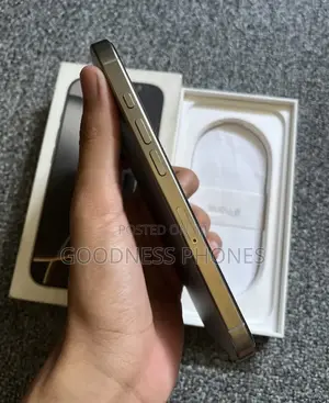Apple iPhone 16 Pro Max 256 GB Silver