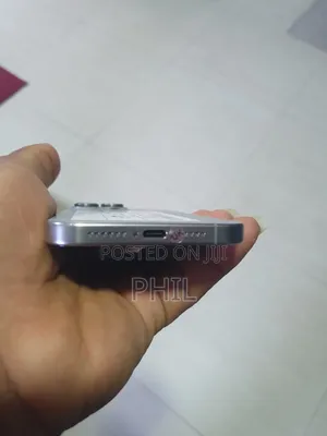 Apple iPhone 15 Pro Max 256 GB Silver