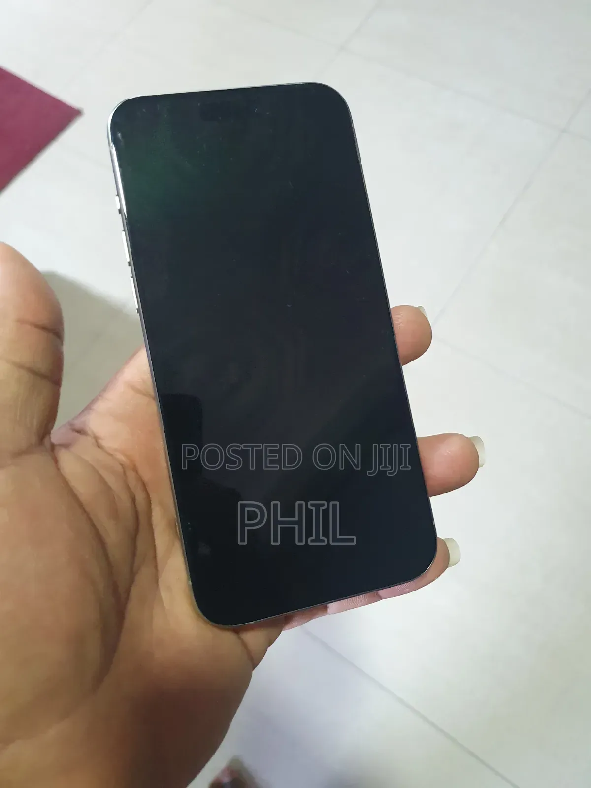 Apple iPhone 15 Pro Max 256 GB Silver