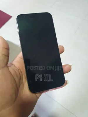 Apple iPhone 15 Pro Max 256 GB Silver