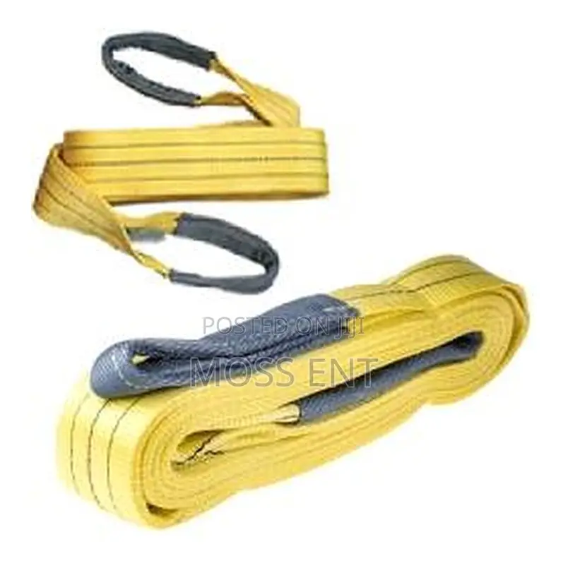 3tx1m Polyester Webbing Sling - R-pws-3x1