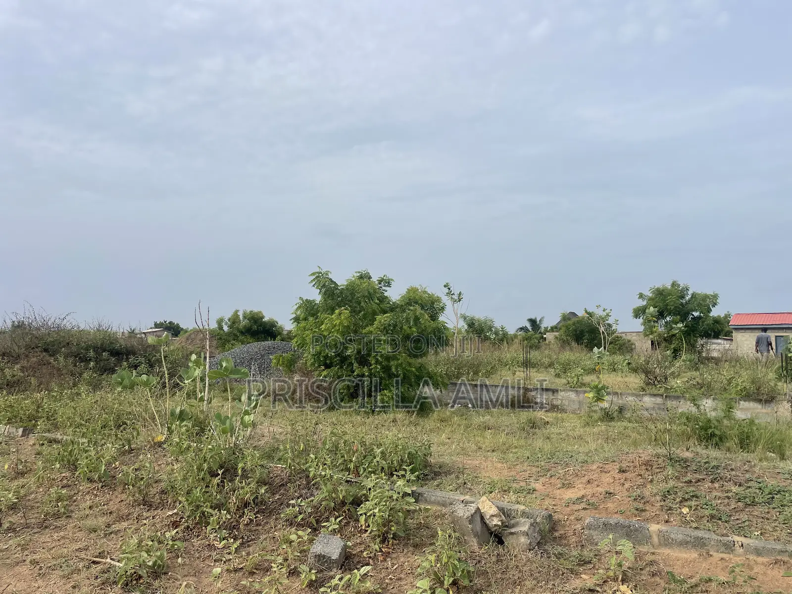 1 Plot of Land