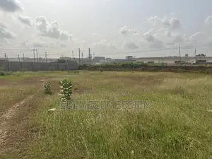 Land Title 2 and Half Acres of Land at Trascaco