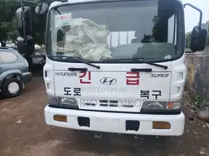 Hyundai Super Truck for Sale