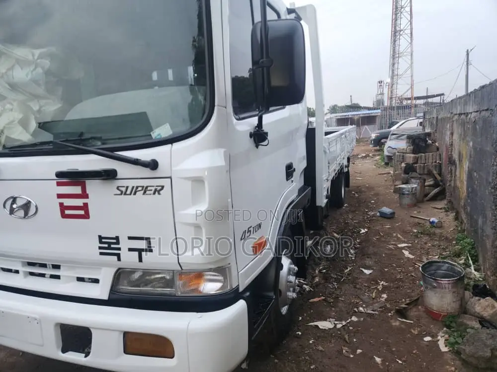 Hyundai Super Truck for Sale
