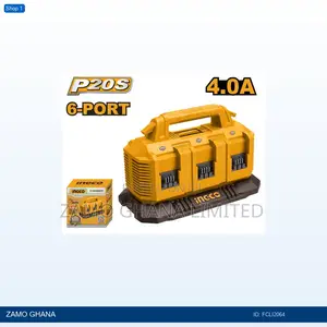 P20s Battery Charger - Fcli2064