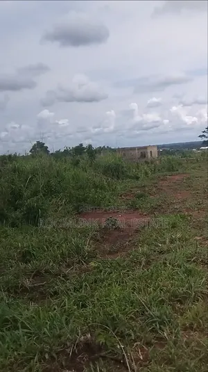 Plot at Capital Estate Area