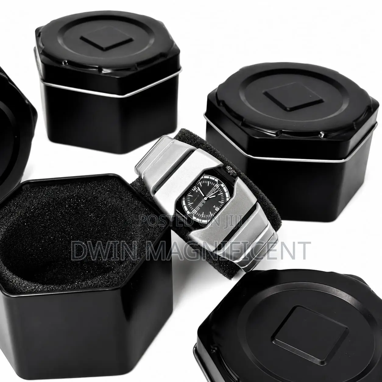 Papio Unisex Quartz Watch