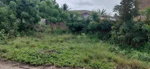 Land for Sale at Kasoa High Tension
