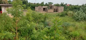 Land for Sale at Kasoa High Tension