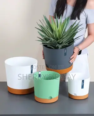 Planter Pots (4 Different Sizes )