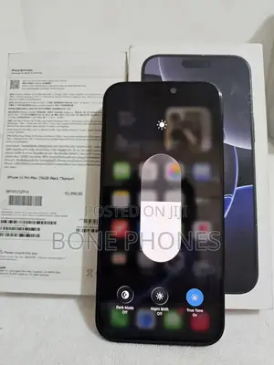 Apple iPhone 16 Pro Max 256 GB Gray