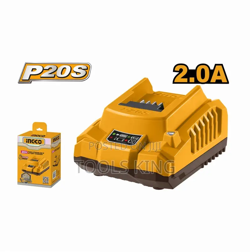 P20s Battery Charger - Fcli2001