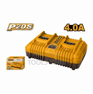 P20s Battery Charger - Fcli2034