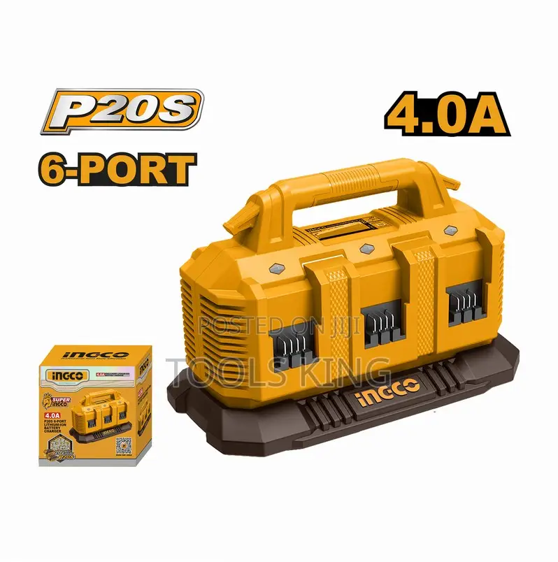 P20s Battery Charger - Fcli2064