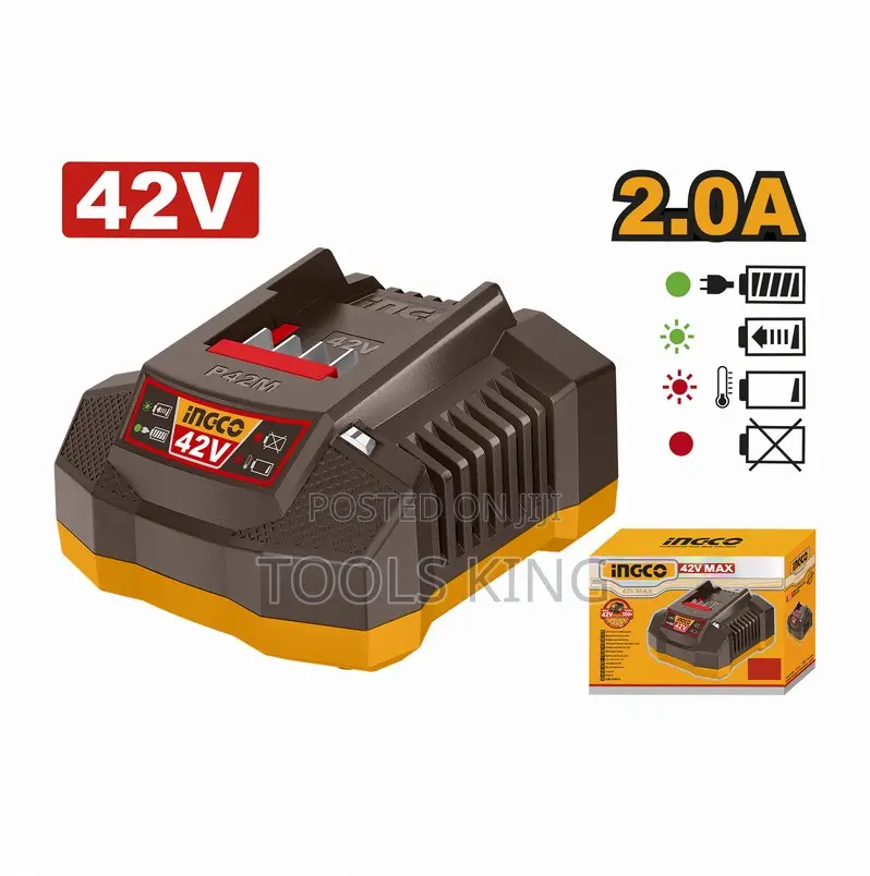 P42m Battery Charger - Fcli42021