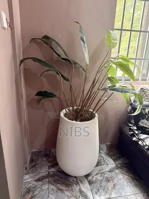 Artificial Plant And Plant Pot