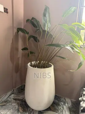 Artificial Plant And Plant Pot