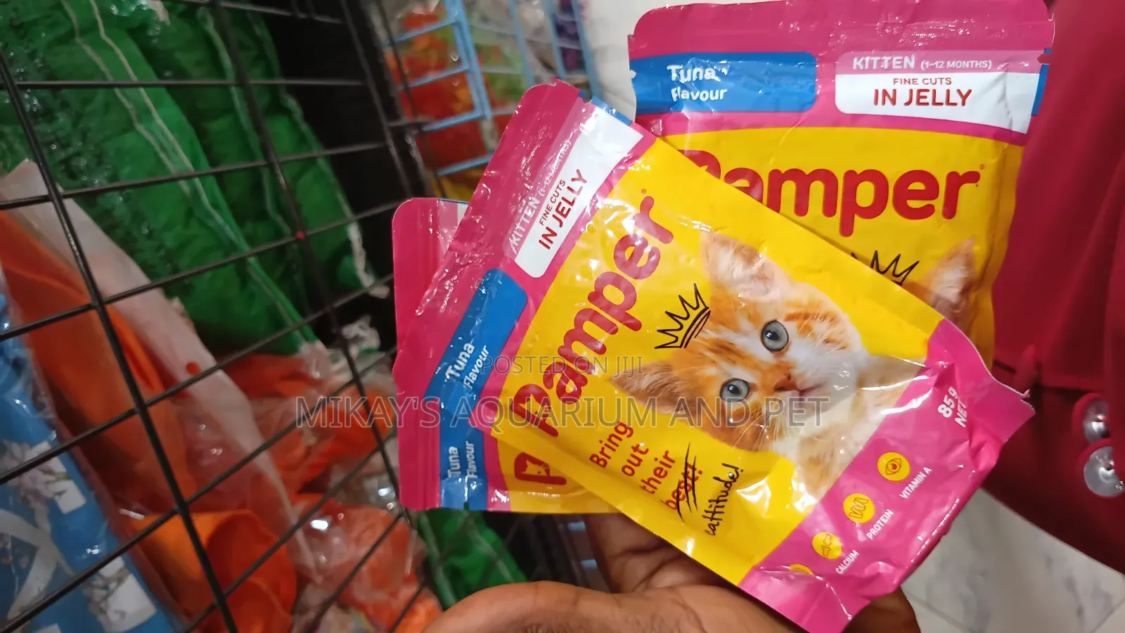 Pamper Jelly for Cats