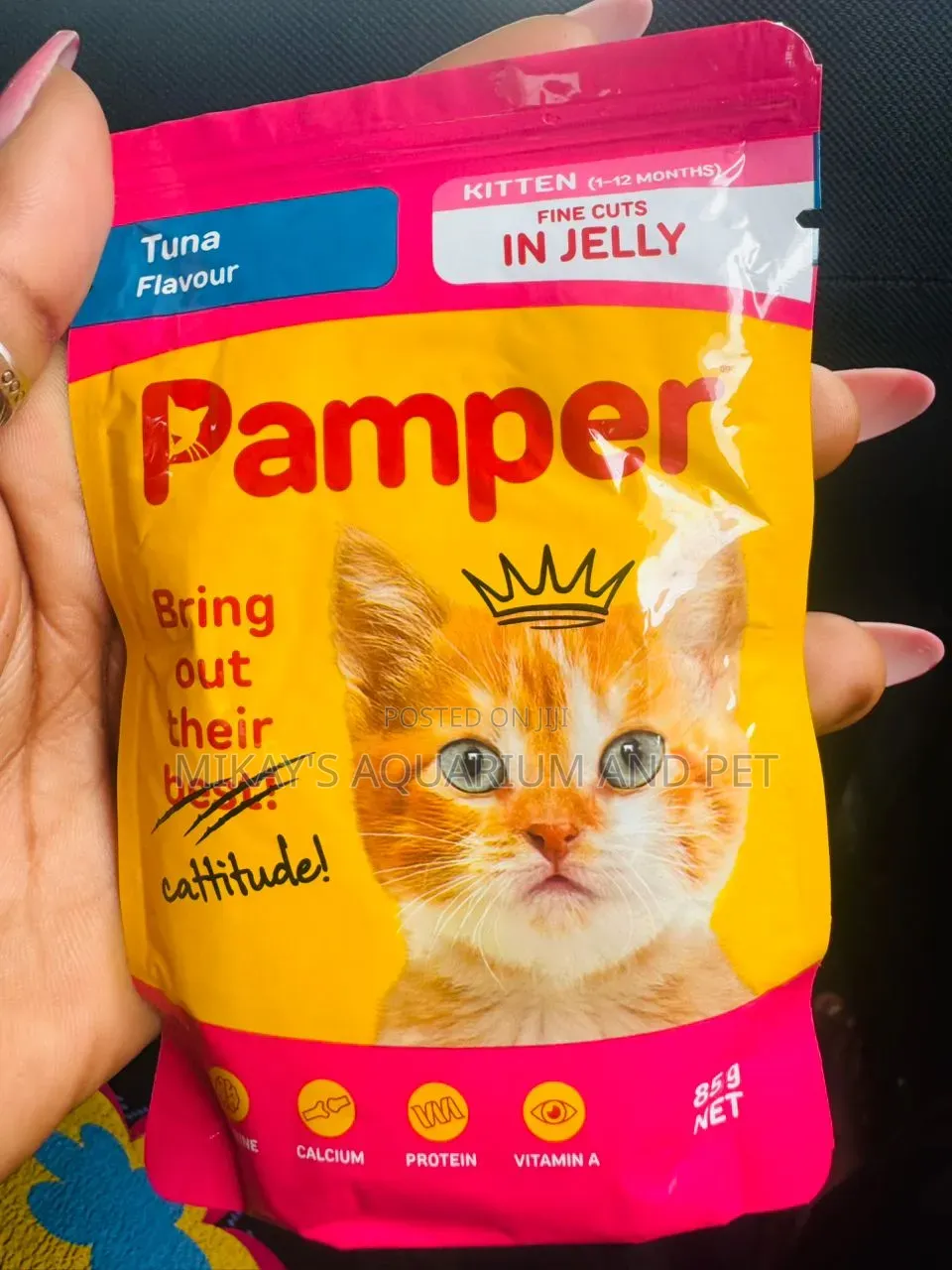 Pamper Jelly for Cats