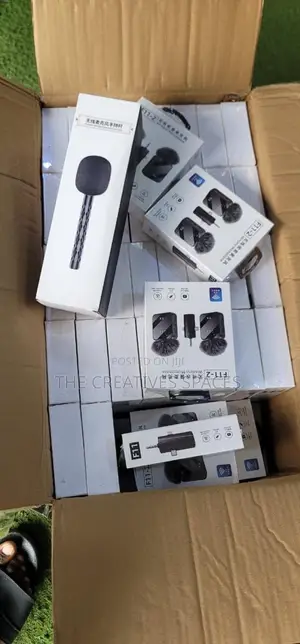 F11-2 Wireless Microphone + Holder