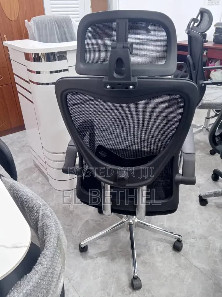 Chairs With Flexible Seat Belts for Office
