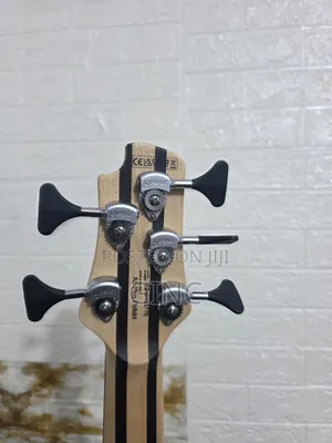 5 String Bass Guitar (Cort Artisan A5 Plus )- Active and Passive