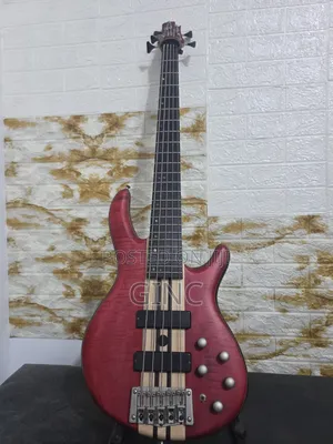 5 String Bass Guitar (Cort Artisan A5 Plus )- Active and Passive