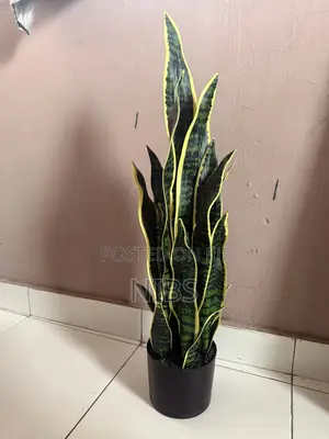 Artificial Plant